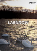 Labudovi