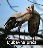 Ljubavna priča