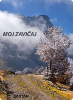 Moj zavičaj