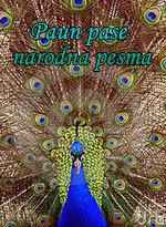 Paun pase - Analiza pesme