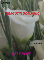 Dragutin Domjanić - Bele rože